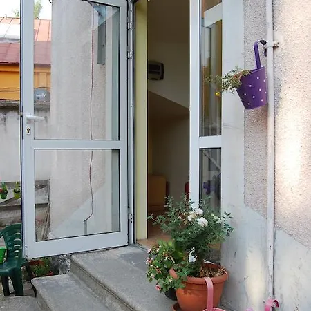 Elysia Homestay 소피아